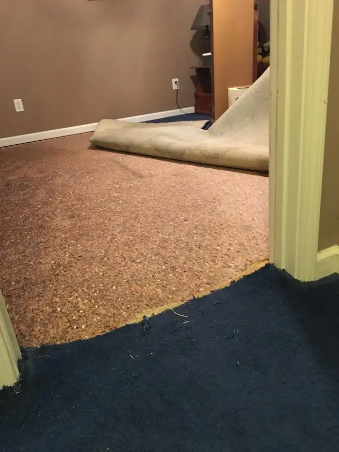 Carpet pad removal revealing water damage during Water Mitigation Services in Townsend