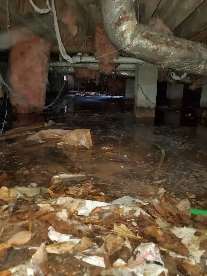 Crawl space flood assessment for Leak Detection & Repair in Townsend